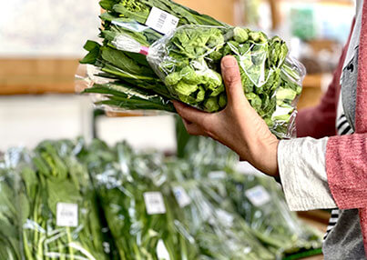 写真：めっけもん広場